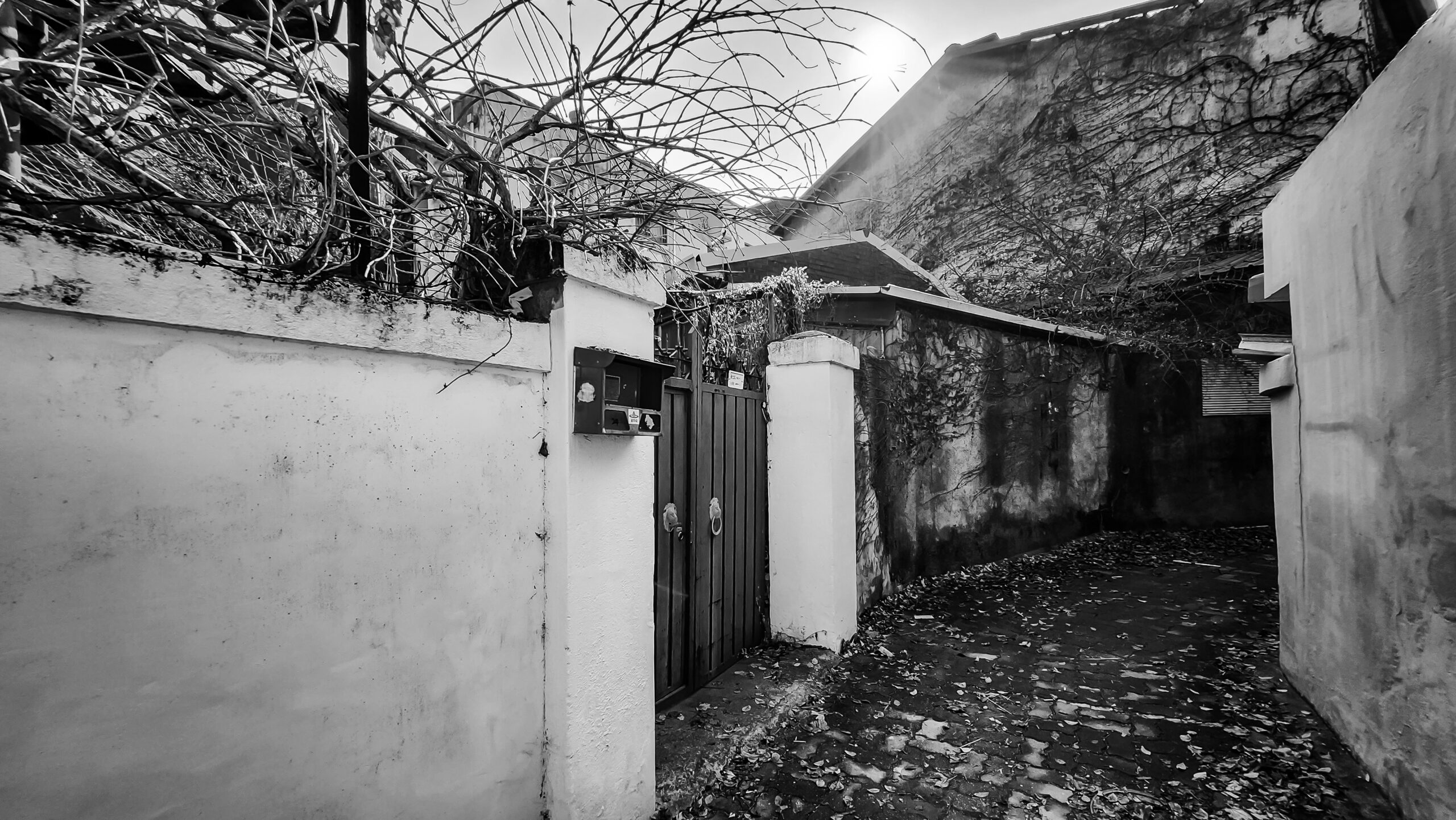 공주 원도심 골목 - 흑백