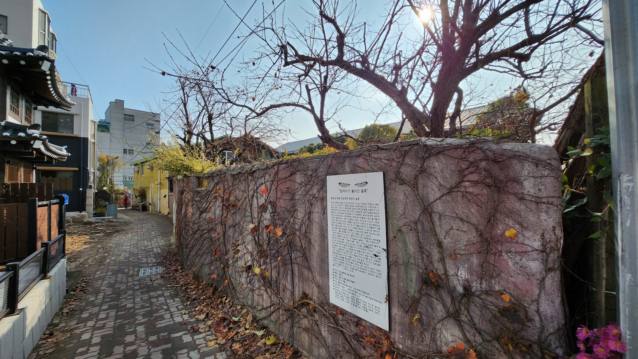 공주 잠자리가 놀다간 골목 - 가을 풍경