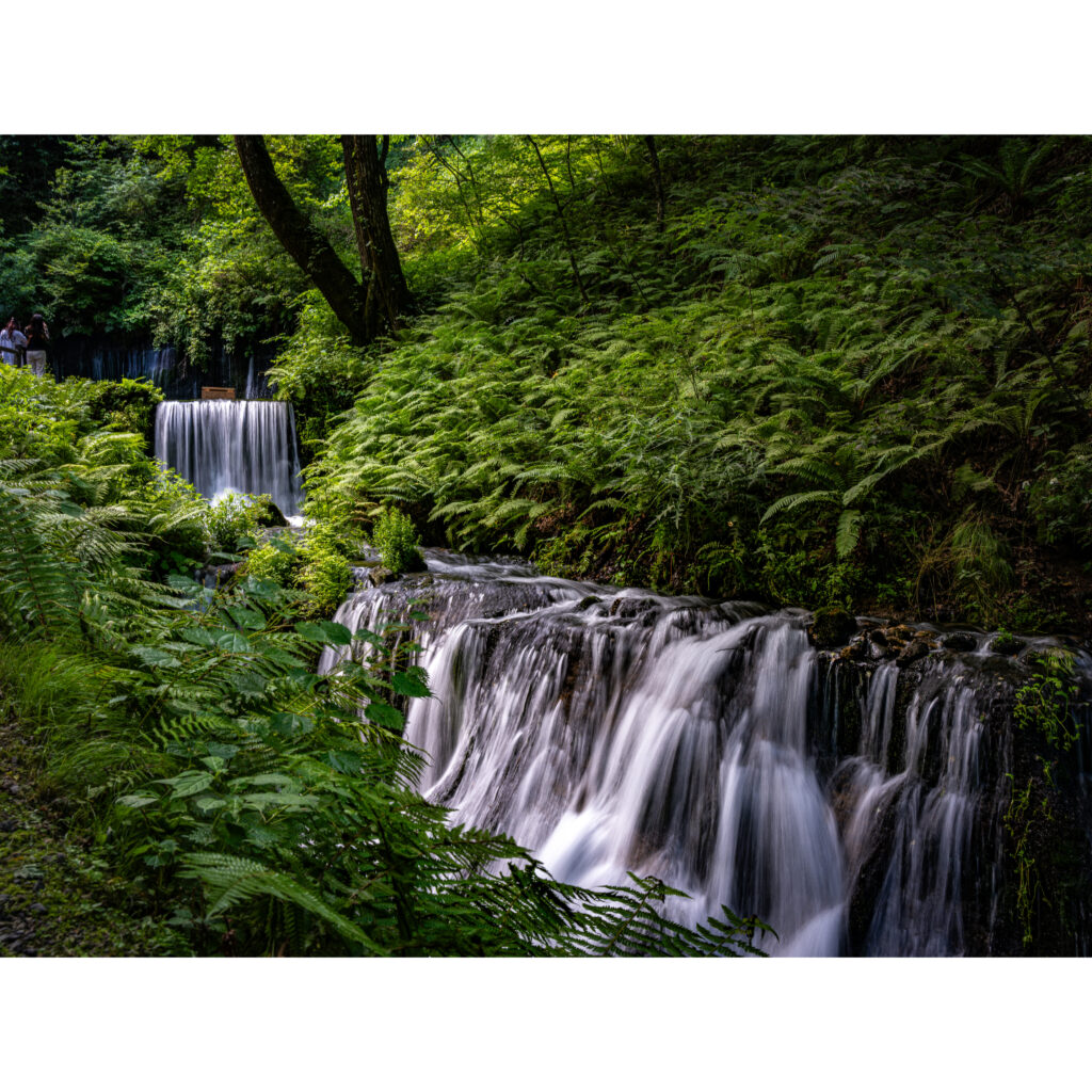 軽井沢 白糸の滝 — 苔むした森の遊歩道