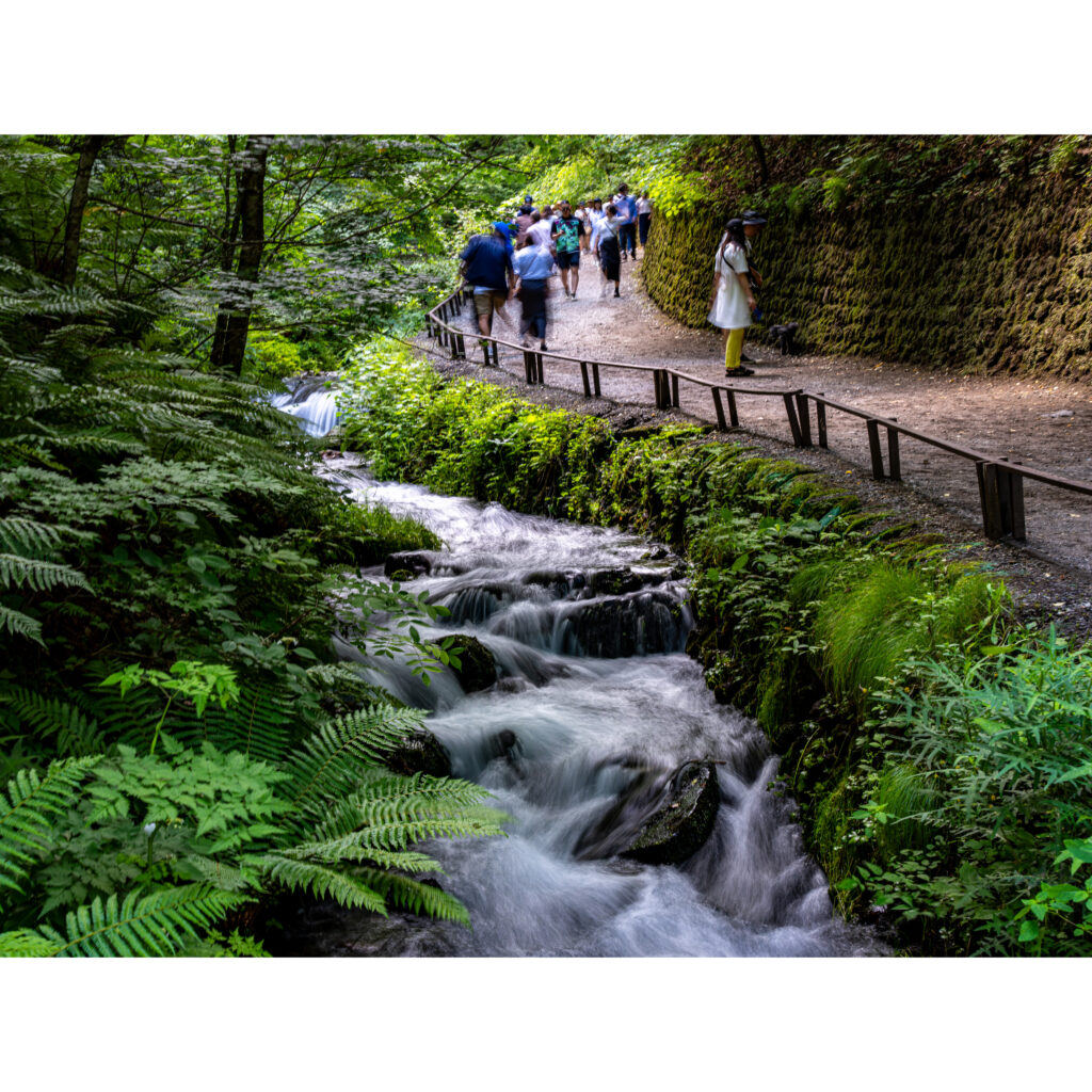 軽井沢 白糸の滝の自然風景