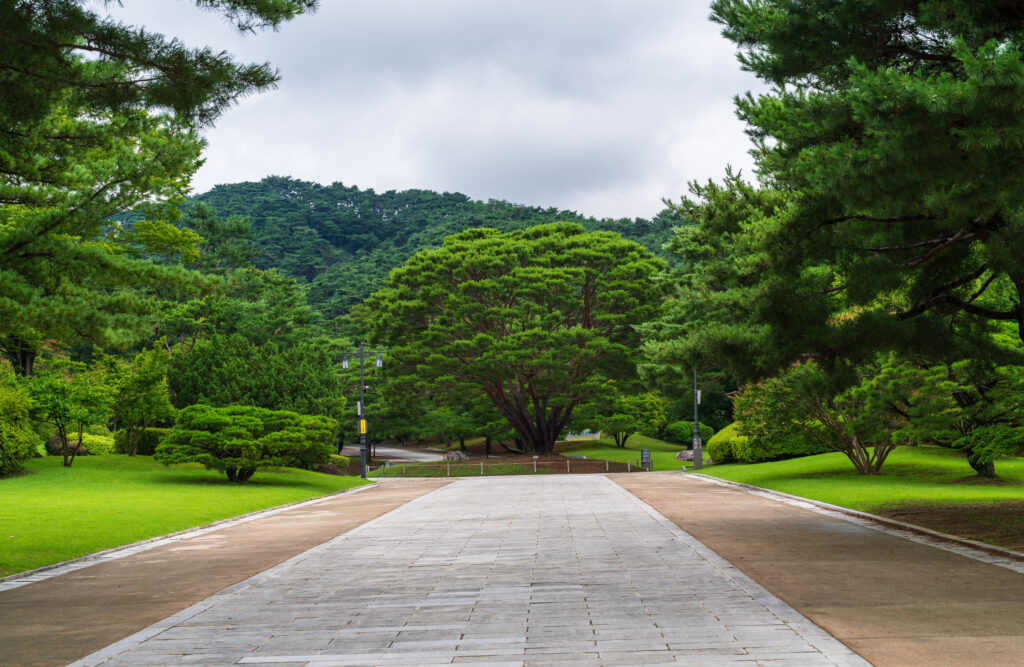 樹齢500年のイチョウの木がある弓場